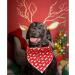 Shop Lionheart Glory Dog Haller 1 Packer Washable Soft Cotton Christmas Neckerchief - Adjustable Red Kerchief for Small Dogs | Perfect Holiday Accessory - Buy Online on SooperMarket.com