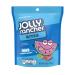 Jolly Rancher Bites Soft Chew Candy 226 g
