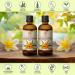 Pure Sea Buckthorn Oil 200ml - Cold-Pressed Sanddorn Oil for Skin & Body Care - Natural Hippophae Rhamnoides Carrier Oil - Buy Online on SooperMarket.com
