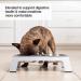 PetFusion Elevated Dog and Cat Bowls - Premium Anodized Aluminum Feeder with US Food Grade Stainless Steel Raised Bowls (Short 4 Metallic Gray) - Buy Online on SooperMarket.com