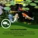 Tetra Pond PlantaMin - Pond Plant Fertilizer for Healthy Growth | 500 ml Bottle - Buy Online on SooperMarket.com