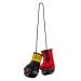 BENLEE Rocky Marciano Mini Miniature Boxing Gloves One Size Black
