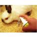 Grannicks Bitter Apple Spray 8 oz - Buy Online on SooperMarket.com
