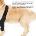 Dog Knee Brace Adjustable Dog Rear Leg Brace Soft Breathable Dog Knee Support Brace for Elderly Disabled Injured Dogs Both Back and Front Legs (S) - Buy Online on SooperMarket.com