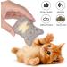 Dorakitten Catnip Toys for Indoor Cats - 5PCS Plush Chew Toys for Teething and Interactive Play | Catnip Filled Kitten Toy with Soft Material and Animal Shapes - Buy Online on SooperMarket.com
