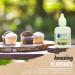 Baking Beauty and Beyond Concentrated Food Flavouring Oil - Food Grade Flavouring Oil for Candy Making Baking Lip Balm Gloss - Cream Cheese (100ml) - Buy Online on SooperMarket.com
