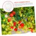 Kisangel 15 Pcs Fruit Shaping Mold Vegetables Fruit Forming Mold Fruit Growth Molds Gourd Gardening Supplies 4.5x4cmx3pcs Whitex3pcs - Buy Online on SooperMarket.com