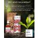 Organic Barf Feed Oil for Dogs & Cats - 1L Cold Pressed Hemp Linseed Primrose Chia Pumpkin Seed Olive Oil | Vitamin E Rich | Organic from Germany | de- ko-060 - Buy Online on SooperMarket.com