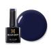 BLUESKY Gel Nail Polish Autumn/Winter 2020 Collection AW2021 Dark Blue Navy Blue (Requires Curing under UV/LED Lamp) Harbin Beauty 10 ml (Pack of 1) Navy Blue 10ml