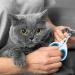 Tinkber 2-Pack Cat Nail Clippers - Stainless Steel Round Pet Nail Shears for Cats Puppies & Small Dogs - Blue & Orange - Buy Online on SooperMarket.com