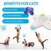 All For Paws Interactive Cat Toy - Butterfly with 2 Replacement Wings | Engaging Indoor Play for Cats - Buy Online on SooperMarket.com
