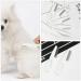 4-Piece Lice & Flea Comb Set for Cats & Dogs - Durable Multifunctional Pet Grooming Tool for Removing Lice Fleas and Ticks - Buy Online on SooperMarket.com