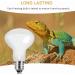 Caldarax 2 Pack Reptile Heat Lamp Bulb 50W E27 Daylight Basking Spot Bulb UV Heat Bulb for Reptiles Tortoise Bearded Dragon Snakes Lizards Chicks 50.0 - Buy Online on SooperMarket.com