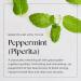 Nikura Peppermint Essential Oil 50ml - 100% Pure Natural Oil for Hair Care, Spider Repellent, and Energy Boost - Vegan & UK Made - Buy Online on SooperMarket.com