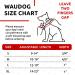 Waterproof Adjustable Dog Collar for Big Medium & Small Dogs | Waudog - Buy Online on SooperMarket.com