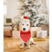 Shop Lionheart Glory Dog Haller Christmas Bib - Washable Soft Cotton Adjustable Neckerchief for Small Dogs - Red 1 Pack - Buy Online on SooperMarket.com