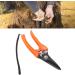 Buy High Carbon Stainless Steel Hoof Shears for Goats | Safe & Durable - International Shipping - Buy Online on SooperMarket.com