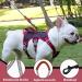 Multi-Purpose Dog Harness with Leash Set - Outbreak-Proof Safety Dishes for Small & Medium Dogs (Black L) - Durable Anti-Train Dog Harness - Buy Online on SooperMarket.com