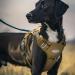 Auroth Tactical Anti-Pull Dog Harness | Size Large (Neck 46-74cm, Chest 61-94cm) | Adjustable & Breathable Pet Vest in Green Brown Army Green | Reflective Military Materials - Buy Online on SooperMarket.com