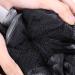 Tbestmax 75g XL Black Loofah Sponge Set for Exfoliating & Soft Shower Puff - 4 Pack - Buy Online on SooperMarket.com