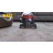 ZEP INC Carpet Shampoo - 128 fl oz | Deep Clean Your Carpets | Fast International Shipping - Buy Online on SooperMarket.com