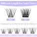 Individual Lashes 0.07mm Cluster D Curl 12-16mm Mixed Long Reusable Soft Wispy DIY Lash Extensions - Buy Online on SooperMarket.com