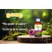 Sapino Echinacea cough Syrup - Buy Online on SooperMarket.com