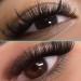 VAVALASH Cashmere Easy Fan Lashes | 0.03 0.05 0.07 C/CC/D/DD Volume | Matte Black Self Fanning Eyelash Extensions | 8MM-20MM | Professional Supplies for Lash Artists - Buy Online on SooperMarket.com