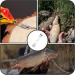 Zoe Tekway 40-Piece Stainless Steel Fishing Leaders - Anti-Bite Anti-Winding Versatile for Saltwater & Freshwater Fishing Accessories - Buy Online on SooperMarket.com