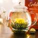 Creano Tea Blum Gift Set - Bloomed Spring Harvest with 500ml Glass Jug & 6 White Teas - Ideal Mother's Day Gift - Buy Online on SooperMarket.com