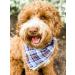 Lionet Paws Dog Bandana | Triangular Headscarf for Small Medium & Large Dogs | Dark Blue | Pack of 1 - Buy Online on SooperMarket.com