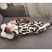 Dr. Brown Narrow Baby Bottle Handles - Easy Grip Bottle Holder for Baby Transition - BPA-Free Silicone - Pack of 4 - Buy Online on SooperMarket.com