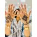Jagua Henna Single Cone - Buy Online on SooperMarket.com