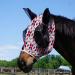 Harrison Howard Super Comfort Stretchable Fly Mask for Horses | UV Protection Soft & Breathable | XL Extra Full Size Tribal Abstract - Buy Online on SooperMarket.com