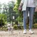 Ferplast Flippy One Dog Leash for Small Dogs - 3m Roller Leash Locking Button Light Blue - Ideal for Pets Up to 8kg - Buy Online on SooperMarket.com
