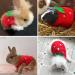 Bangminda Sleeveless Vest for Small Pets | 2-Piece Warm T-Shirts for Guinea Pigs Kittens Rabbits Ferrets & Chihuahuas - International Shipping Available - Buy Online on SooperMarket.com