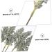 Zerodeko 36 Pcs Artificial Corn Ear Fake Flower Rustic Decor Wheat Ear Crafts Harvest Decoration Wedding Vases Natural Wheat Ear Wheat Ears Flowers Naturales Bride Display Plastic Air Dry Assorted Colorx2pcs 30X1.5CMx2pcs - Buy Online on SooperMarket.com