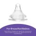 Lansinoh Baby Bottles for Breastfeeding Babies Bundle 3 Count Each of 5 Ounces and 8 Ounces - Buy Online on SooperMarket.com