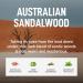 Buy Laundry Sauce Australian Sandalwood Dryer Sheets - Eco-Friendly Laundry Essentials for International Shipping - Buy Online on SooperMarket.com