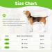 ZEEJORY Adjustable Cat & Dog Cone Collar for Fast Healing - M(28-37cm/11-14.5in) - Buy Online on SooperMarket.com