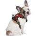 Littlearth NCAA Mississippi State Bulldogs Front Clip Pet Harness - Team Color (Small) - Buy Online on SooperMarket.com
