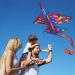Large Flerigh Plane Kite for Kids and Adults | Easy to Fly & Assemble | Ideal for Beginners & Professionals | Beach & Outdoor Activities | Ages 4-12 - Buy Online on SooperMarket.com