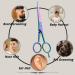 Glamified Glam Rainbow 6" Hairdressing Scissor for Professional Hairdressers Barbers Stainless Steel Hair Cutting Shears - for Salon Barbers Men Women Children and Adults - Buy Online on SooperMarket.com