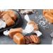 Taras All Natural Handcrafted Sea Salt Caramel - Small Batch Kettle Cooked - 20 oz - Buy Online on SooperMarket.com