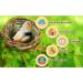 SunGrow Birds Nest for Finch, Canary, Pigeon, Parakeet - Encourages Courtship, Breeding, Nesting - Buy Online on SooperMarket.com