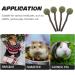 GANAZONO 4pcs Guinea Pig Chewing Playthings Bunny Chewing Playthings Bunny Treats Parrot Treats - Buy Online on SooperMarket.com
