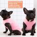 KYEESE 2 Pack Striped Dog Shirts - Soft Cotton Tank Top for Dogs - Sleeveless Cat Shirts - 16 Chest - 2Pack (Striped+Pink) - Buy Online on SooperMarket.com