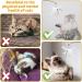 DONGKER 8pcs Cat Rod Replacement Feathers Interactive Cat Replacement Feathers With Bell for Cat Wand Toys Chasing Toys - Buy Online on SooperMarket.com