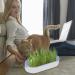 Youding Cat Grass Growing Kit Planter Tray Catnip Box Chewing Kitten Plant Set for Snacks Soil Free Snacks Digestion Pet Food Indoor Nursery Balcony Patio Blue - Buy Online on SooperMarket.com