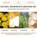 Natural Essence Skin Care Set - Daily Moisturizing Essentials | Beeswax Lip Balm Coconut Foot Cream Milk Lotion Chamomile Cleanser Lavender Salve | International Shipping - Buy Online on SooperMarket.com